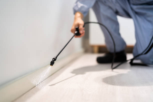 Bed Bug Pre-Treatment Preparation Assessment in Buffalo Center
