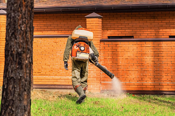 Bed Bug Clearance Verification and Documentation in Buffalo Center